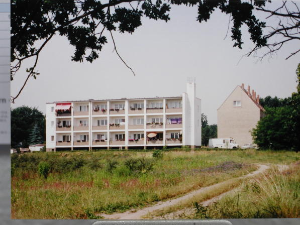 Ledigenheim in Vogelsdorf